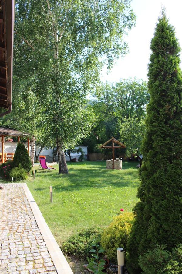 Hotel Radi Sapareva Banya Exterior photo