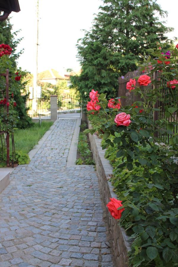 Hotel Radi Sapareva Banya Exterior photo